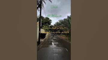 ونـزلنا من السماء ماء مباركا فأنبتنا به جنات وحب الحصيد | سورة ق القارئ الحاج عامر الكاظمي