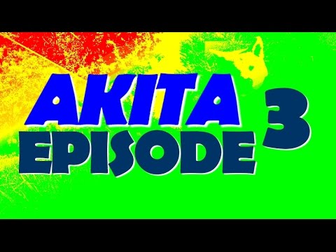 AKITA I WOK AGRESSIF Episode 3 - YouTube AKITA I WOK AGRESSIF Episode 3 - YouTube
