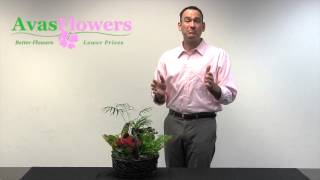 Avas Flowers - European Dish Garden