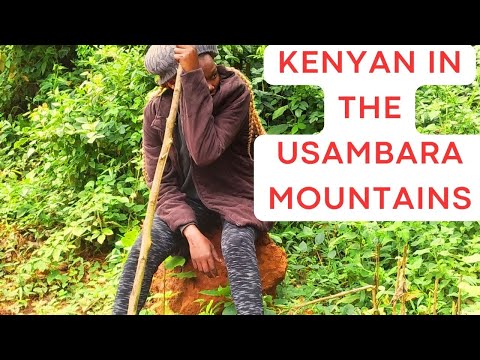 Magamba Forest Lushoto, Tanzania