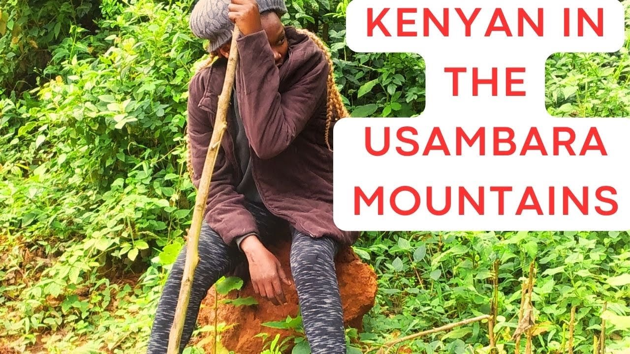 Magamba Forest Lushoto,Tanzania