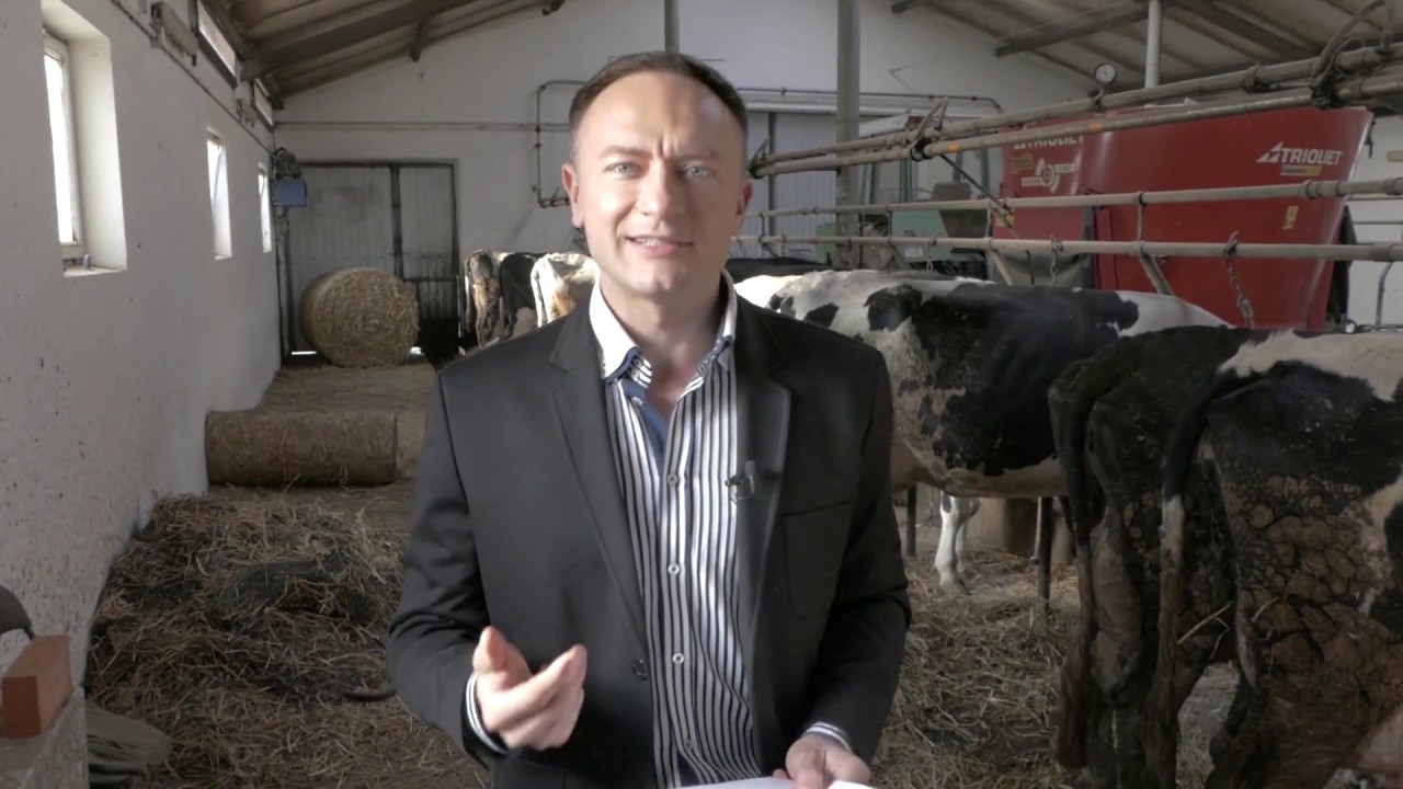 128. BIURO OBSŁUGI MALKONTENTA