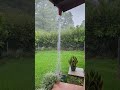 Simple Rain Chain Water Drainage #shorts #gardendesign