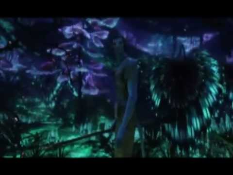 Entity Paradigm - Hamesha (Safan Maknojia).mpg