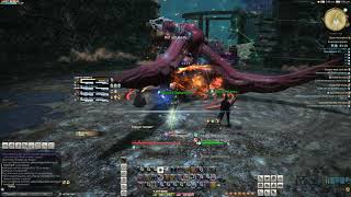 Final Fantasy XIV Online - Level 80 Dungeon Astrologian POV