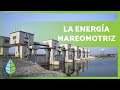 ¿Qué es la ENERGÍA MAREOMOTRIZ? 🌊 (Cómo FUNCIONA, tipos y características)