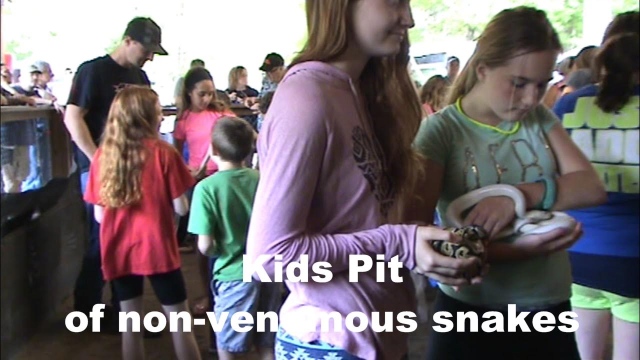 Rattlesnakes, Kids Pit and more from Sinnemahoning snake hunt YouTube