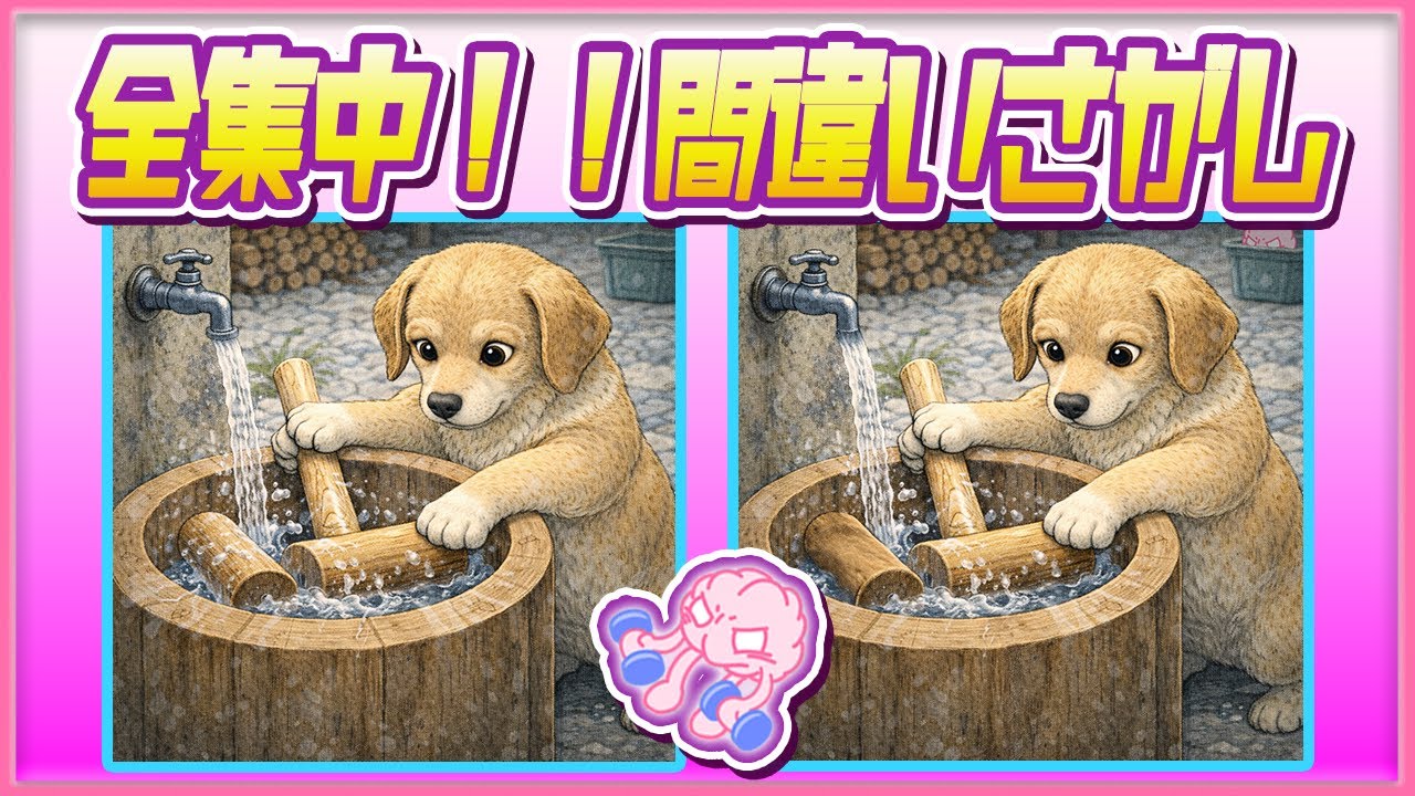 【平日の朝活💪🧠💪】静かな集中チャレンジ！間違い探し