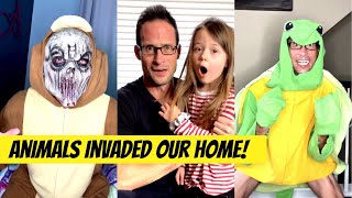 Animals invaded our house! An epic hilarious family fun adventure | with bloopers | themccartys