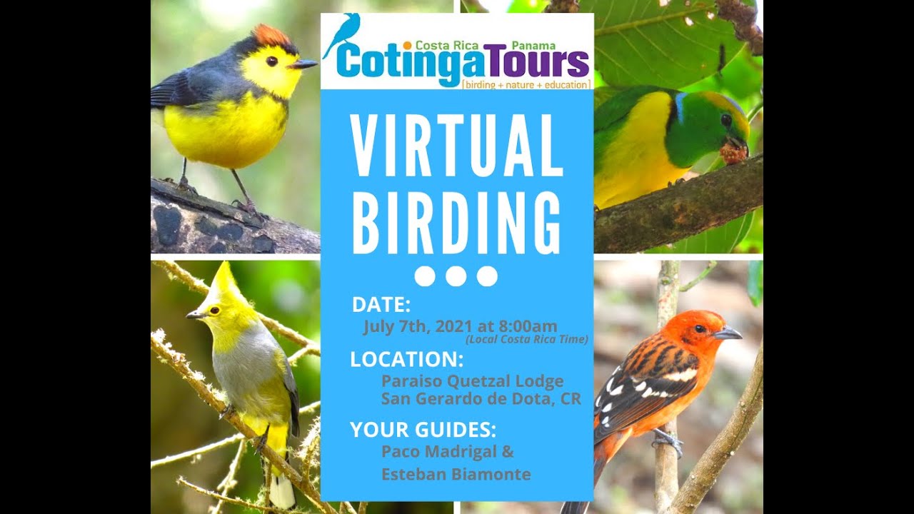 Cotinga Tours Virtual Birding Tour- Paraíso Quetzal Lodge-July 7, 2021 ...