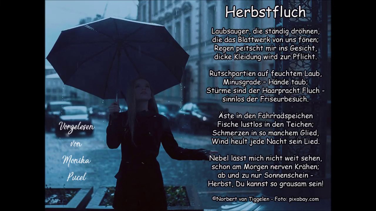 herbstfluch fahrrad speichen peitschen sturm
