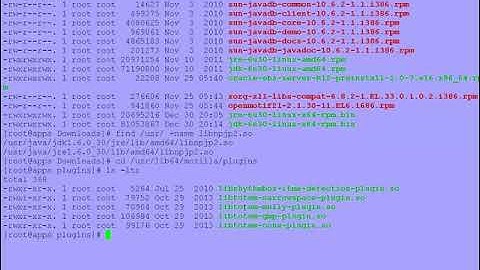 J2SE Plugin NPX PLUGIN PATH environment