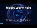 Simple and Secure File Transfer with Magic Wormhole