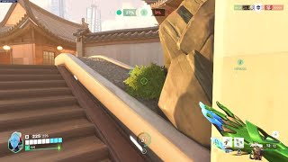Overwatch 2 Echo team kill