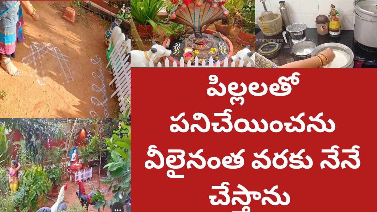 పిల్లలువస్తే పనిచేయించను అన్నీనేనేచేస్తాను  పిల్లలతోపాటు ఆవులుచిలకలుసందడి పనికూడా Natural Vlog