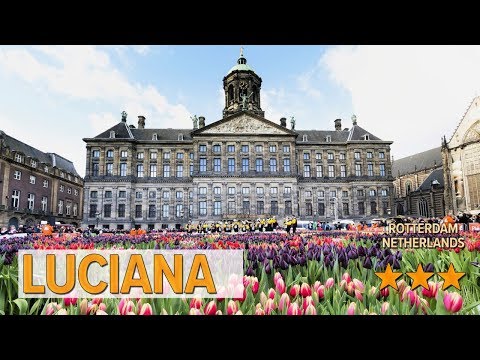 luciana hotel review hotels in rotterdam netherlands hotels