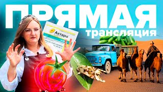 ПРЯМАЯ ТРАНСЛЯЦИЯ. Отвечаем на вопросы 20.07.2022