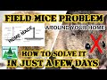 How to get rid of FIELD MICE around your home in just a few days.