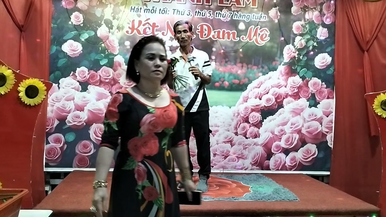 Nhật Ký đời tôi, trình bày, anh lượm 