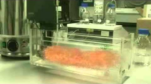 The Transhumanists part 6 documentary by Frank Theys