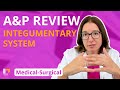 Integumentary System and Wound Healing Quiz