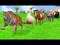 Paint Animals Fountain With Elephant Duck Hippo Tiger - Long Slide Game ss | Funny 3d Animation 170