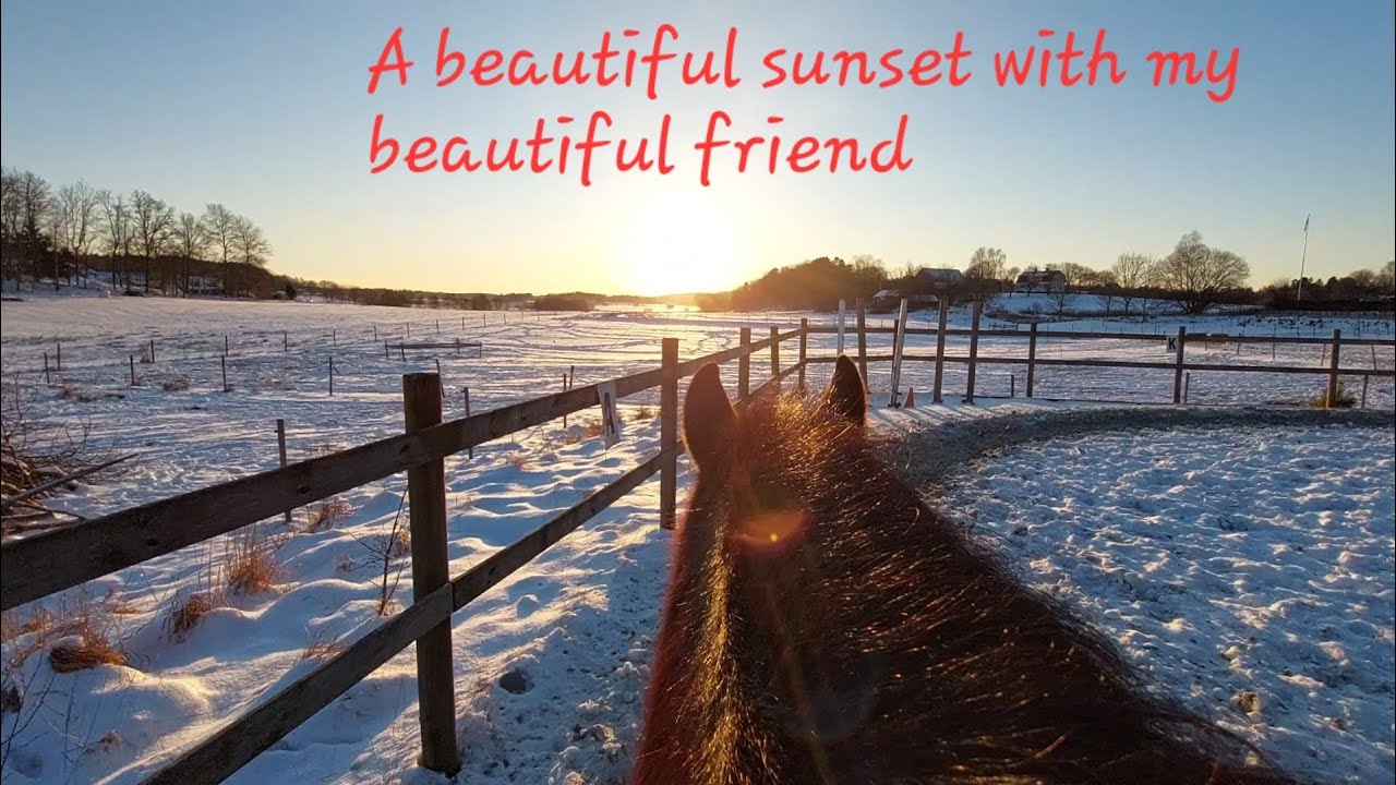 Небольшая поездка на закате ☺️, и Сикстен больше не изгой.