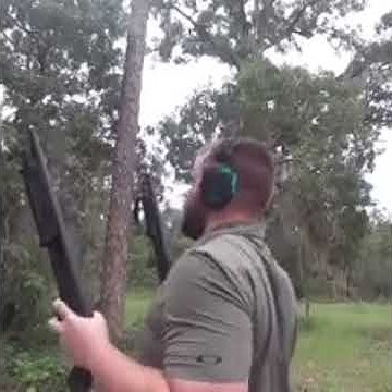 This Sevierville Story Is Wild: Bear Vs. Shotgun Wielding Senior! (Twra) - k3jsddc