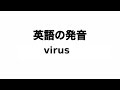 英単語 virus 発音と読み方