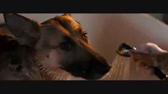 I Am Legend Three Little Birds CZ I Am Legend Three Little Birds CZ