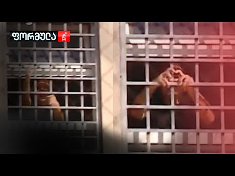 რა წერია ომბუდსმენის კონსილიუმის დასკვნაში