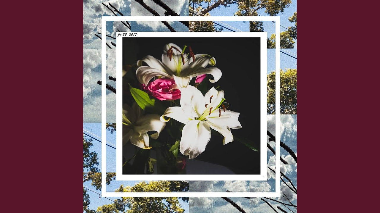 YouTube에서 Everything 보기 YouTube에서 Everything 보기