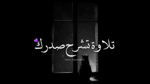 اجمل حالات واتس اب قران كريم بصوت جميل جدا 💓