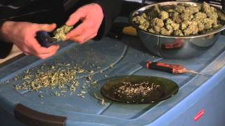 Harvest Time / Part Two
