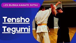 Tensho Bunkai - Tegumi