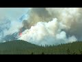 Forest Fires and Ecosystem Impact