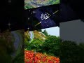 يا هناه بطيب جناه من زرع الخير بدنياه عمار صرصر مقتطفات راقية تتكلم بصمت 