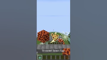 magma block vs spider web #minecraft #minecraftmemes #gaming #win