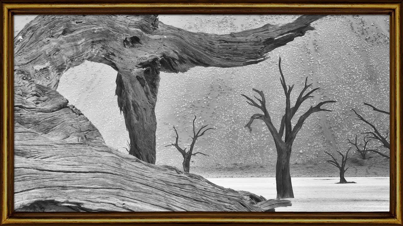 Skeleton Tree | 4K TV Art