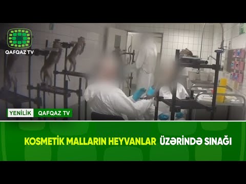 Video: AB Heyvanlar üzərində Sınaqdan Keçirilmiş Bütün Kosmetik Vasitələrin Satışını Qadağan Etdi