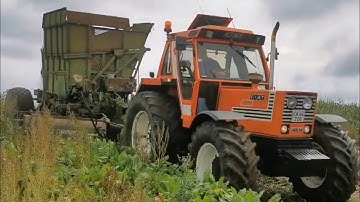 Field Work with Fiat 1180 DTH | Kjeld Kristensen in Action