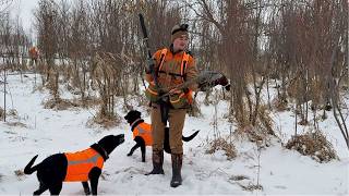 Wisconsin Pheasant Hunting In Fresh Snow