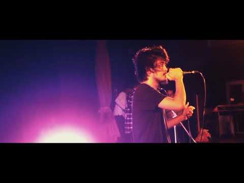 Ladybird - Your Story (Live)