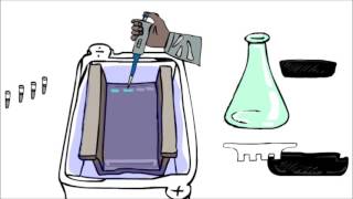 Electrophoresis