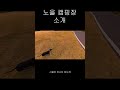 1. 노을 캠핑장 소개