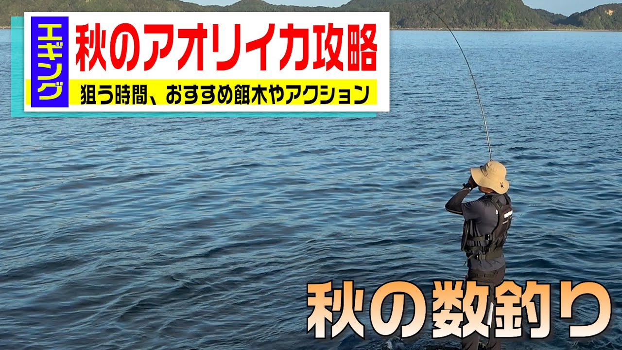 この虫除けランタンは最強 釣り キャンプ 車中泊おすすめの蚊よけグッズを紹介 最後のアイテムは特におすすめです Youtube