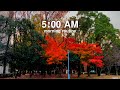 【5AM Morning Routine】Casual Holiday Morning Routine | Japan Vlog