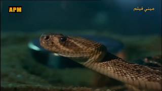 فيلم Venomous 2000 Full Movie Snake Attack Sci Fi Youtube