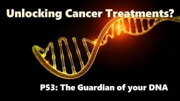 How p53 Protects Your DNA… Until It Turns Against You!