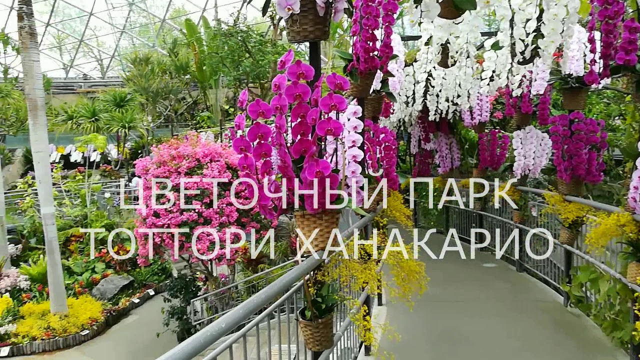 Путешествие на 